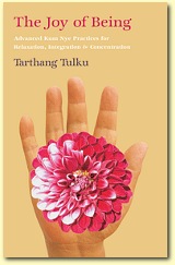 The Joy of Being, Author Tarthang Tulku | Publisher: Dharma Publishing International, ISBN-13: 978-0-89800-388-8
