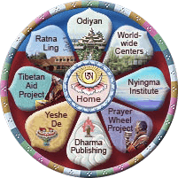 Tarthang Tulku projects